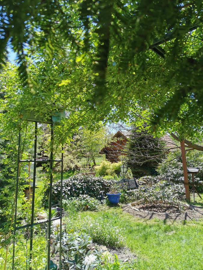 Agroturystyka W Ogrodach Sanok Exterior foto